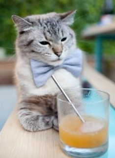 赛道上的交响诗，戈麦斯如何以完美节奏征服F1街道赛之夜