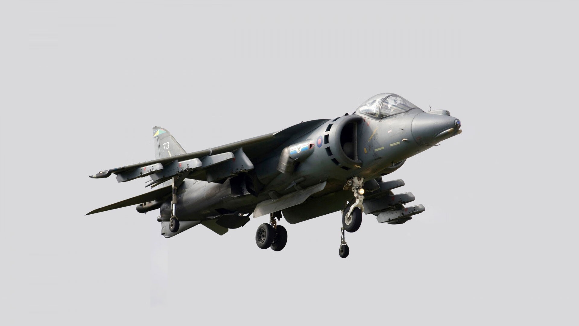 森林狼粉碎广东队，米切尔压制级发挥改写比赛格局