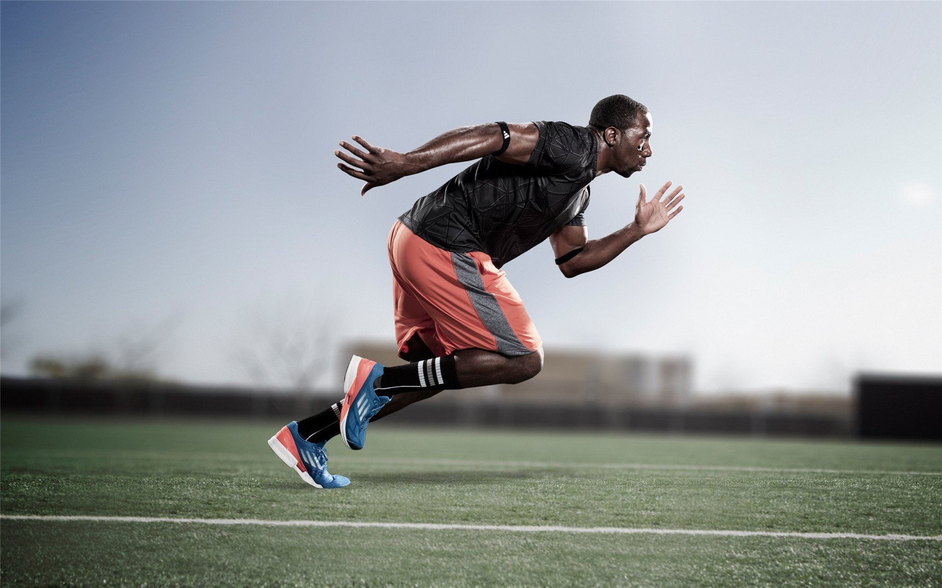 开云体育中国官网-赛道与球场，F1年度争冠焦点战与快船稳胜步行者的双重奏