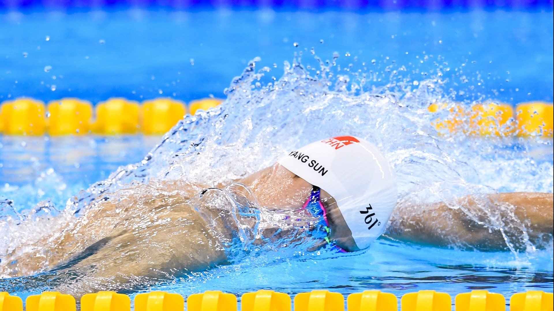 绝境中的双重奏，瑞典乒乓翻盘波兰，樊振东扛起全队的信念之战